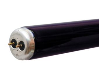BlackLight T12 4ft